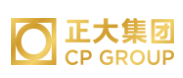 望江正大集团
